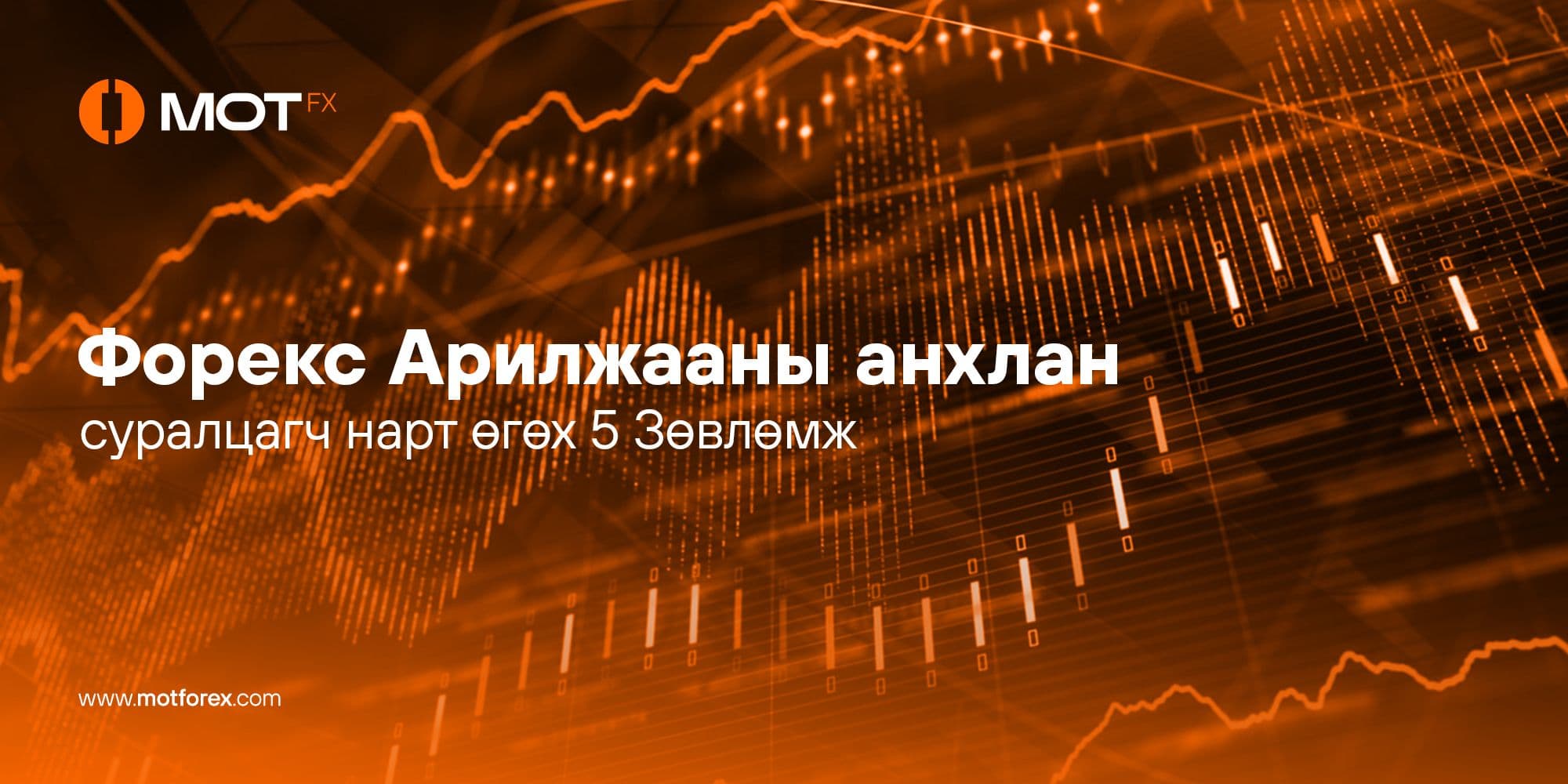 Форекс Арилжаа анхлан суралцагч нарт өгөх 5 зөвлөмж